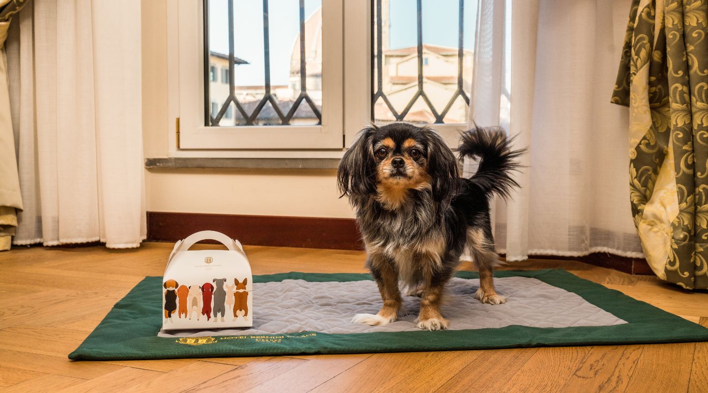 Hotel Bernini Palace Firenze Pet Friendly