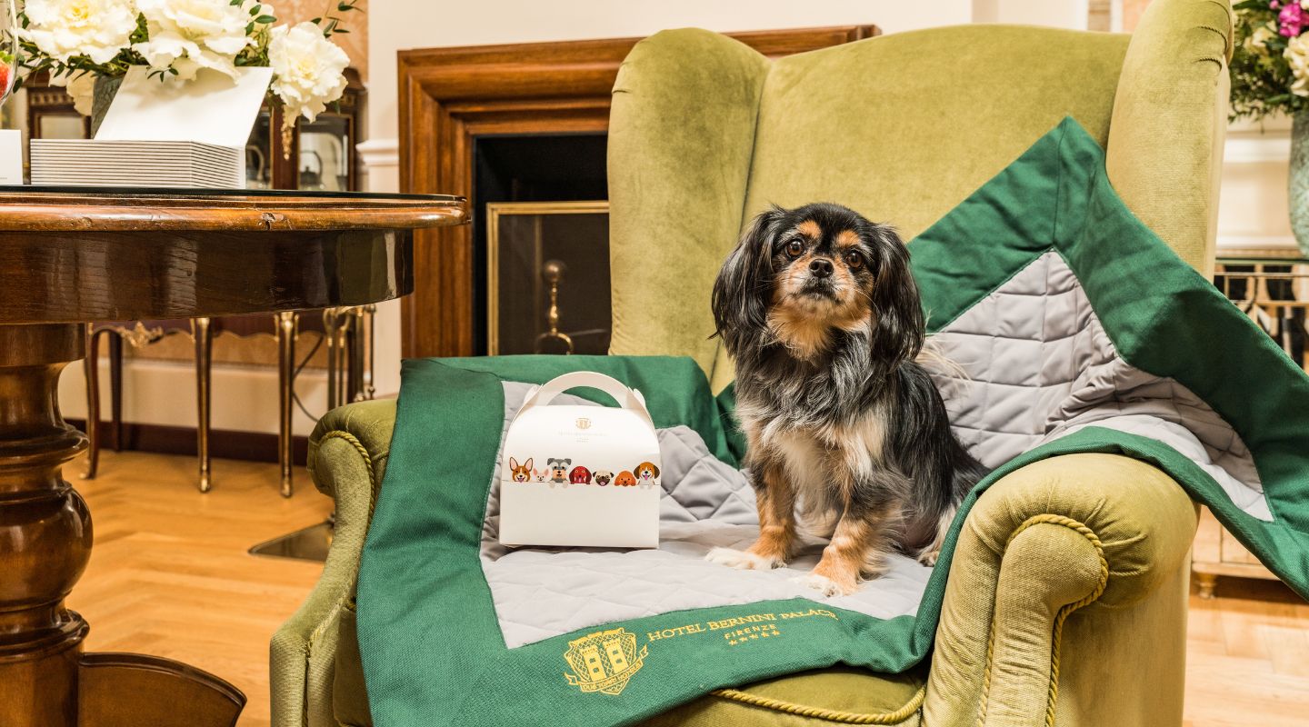 Hotel Bernini Palace Firenze Pet Friendly