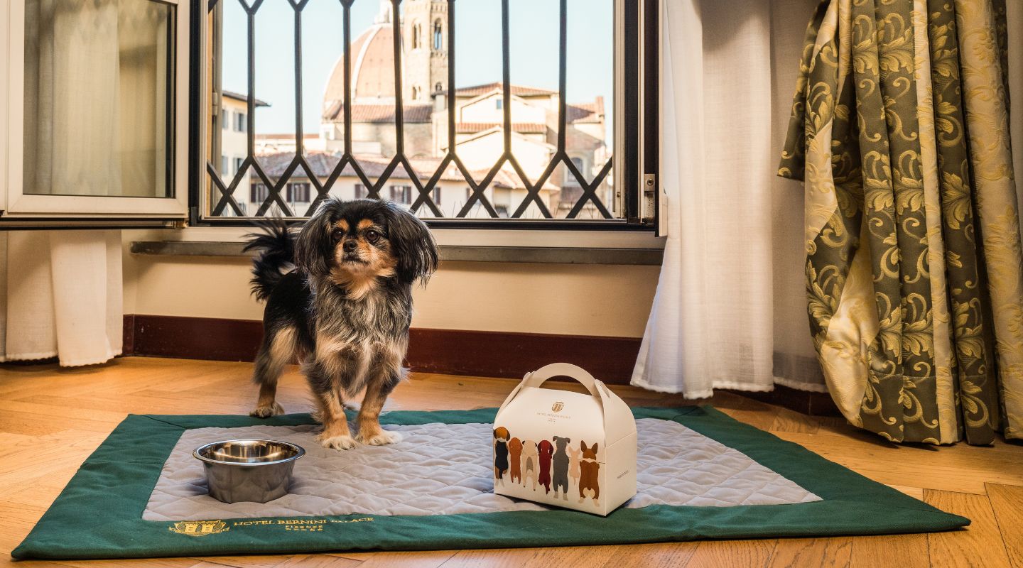 Hotel Bernini Palace Firenze Pet Friendly