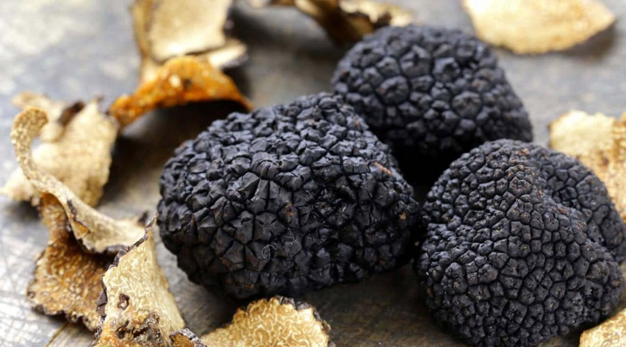 Cena con Tartufo Nero