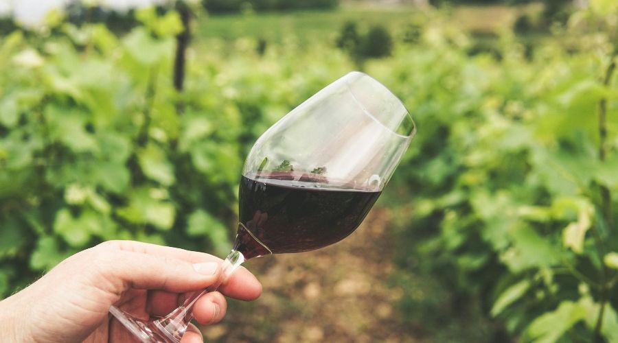 Da Firenze al Chianti | From Florence to Chianti