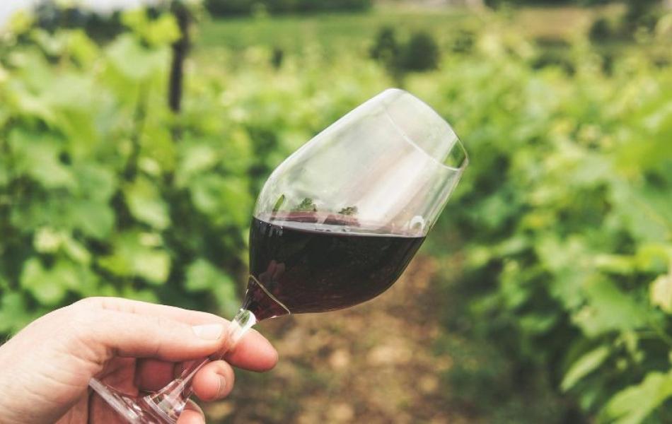 Da Firenze al Chianti | From Florence to Chianti