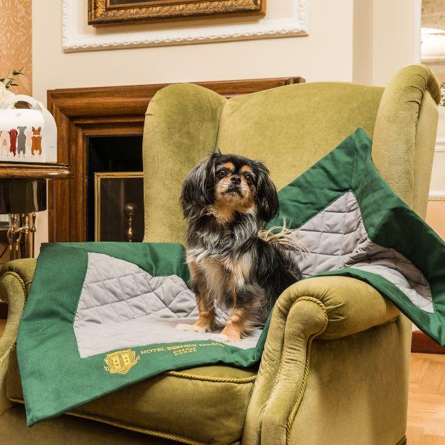 Hotel Bernini Palace Firenze Pet Friendly