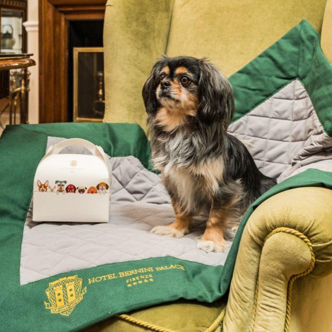 Hotel Bernini Palace Firenze Pet Friendly