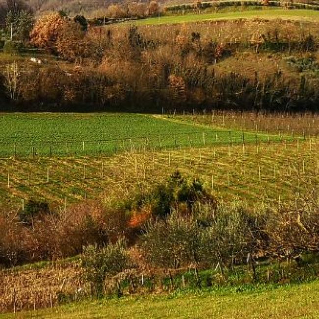 La cucina toscana e i Pici | Tuscan cuisine and "Pici"