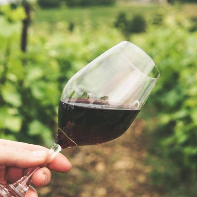 Da Firenze al Chianti | From Florence to Chianti